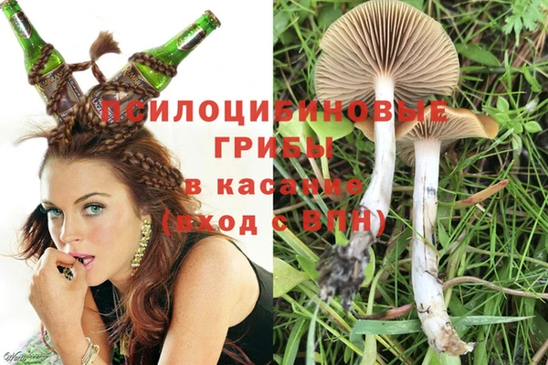 герыч Абаза
